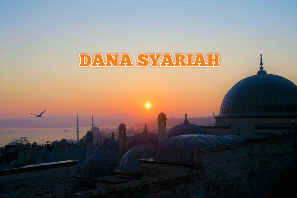 20251115 144829 11zon